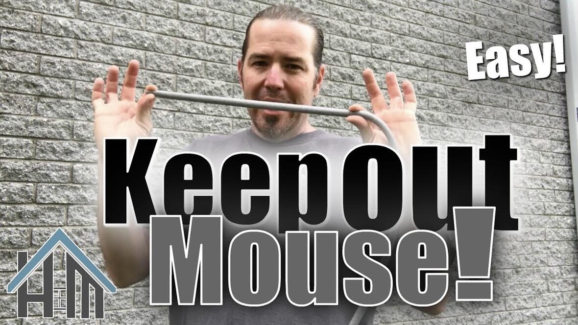 Video preview: How to keep out mice and other pests: sealing up the exterior